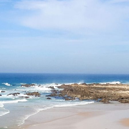 Australian Seaweed - mbK - Mystery Bay